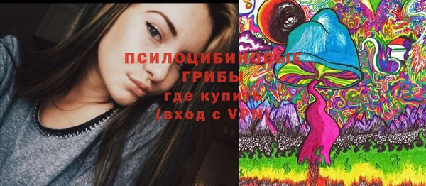а пвп мука Гусев