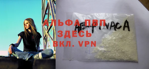 стаф Гусь-Хрустальный