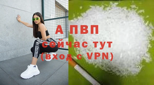 стаф Гусь-Хрустальный
